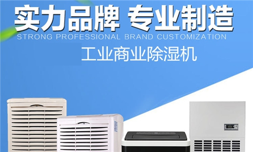 度過每一個潮濕天，全自動空氣除濕機助力