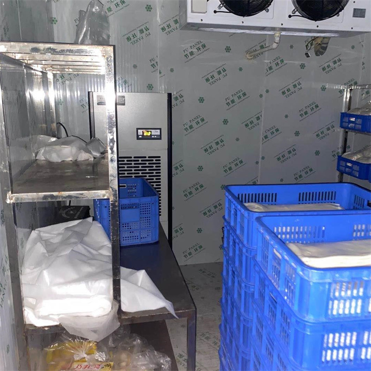 噴霧器——美化生活的神奇工具