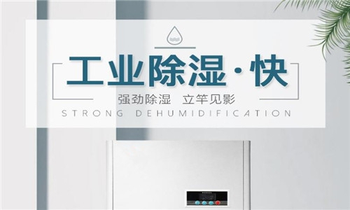 除濕機需要每天使用多長時間